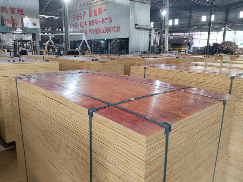 广西建筑木模板销售方案插图1